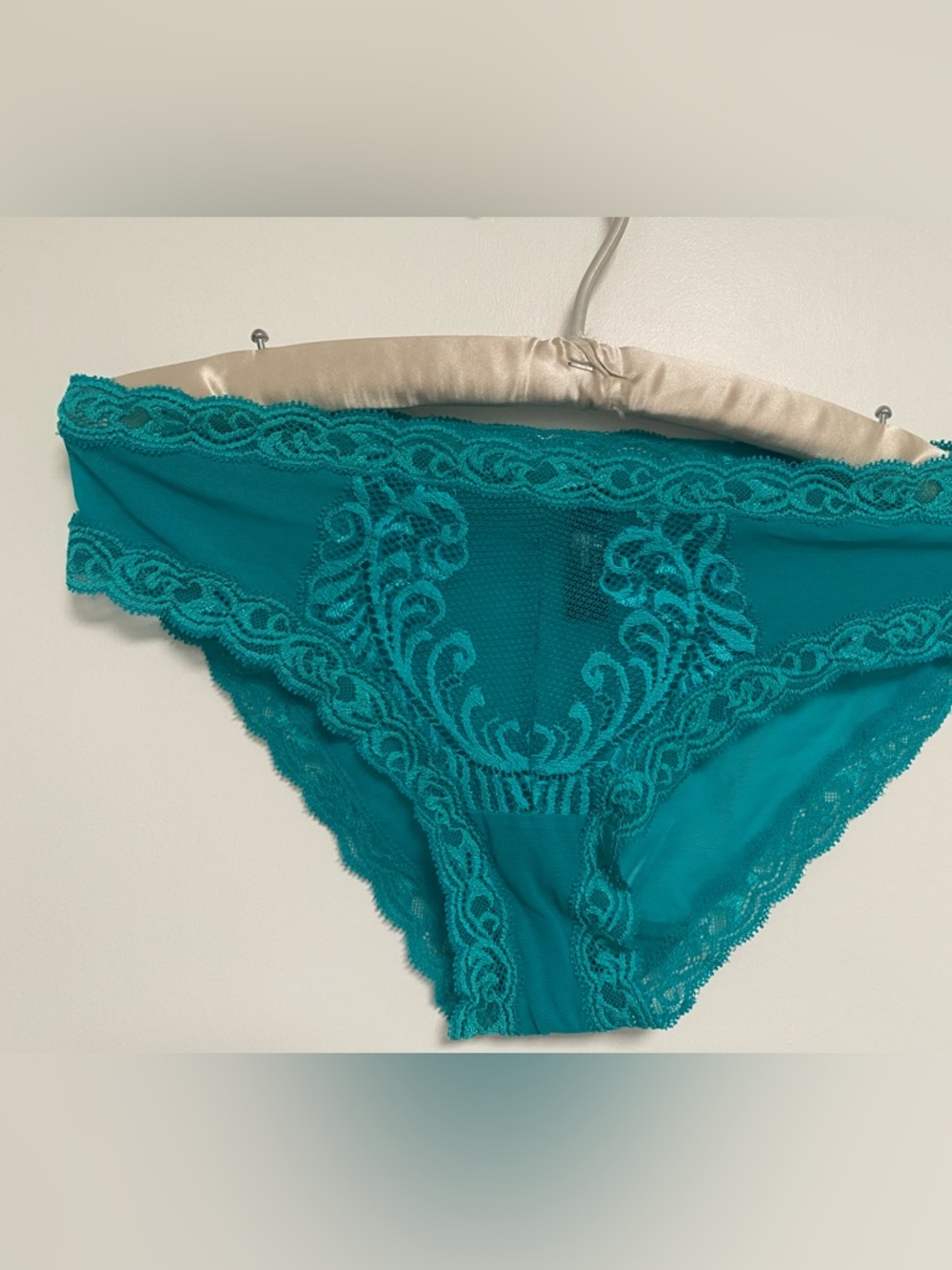 Natori Feathers Teal Lace Bikini Briefs - 
Size L